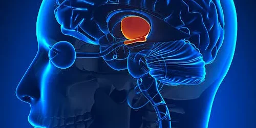Adenomas-de-hipófisis